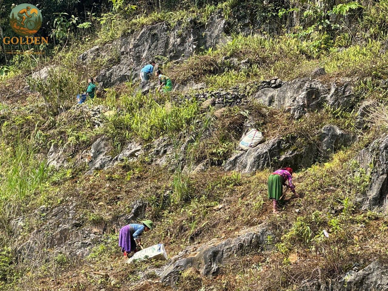 15-Day North Vietnam Cycling Tour: Hanoi, Sa Pa, Ha Giang & Ba Be
